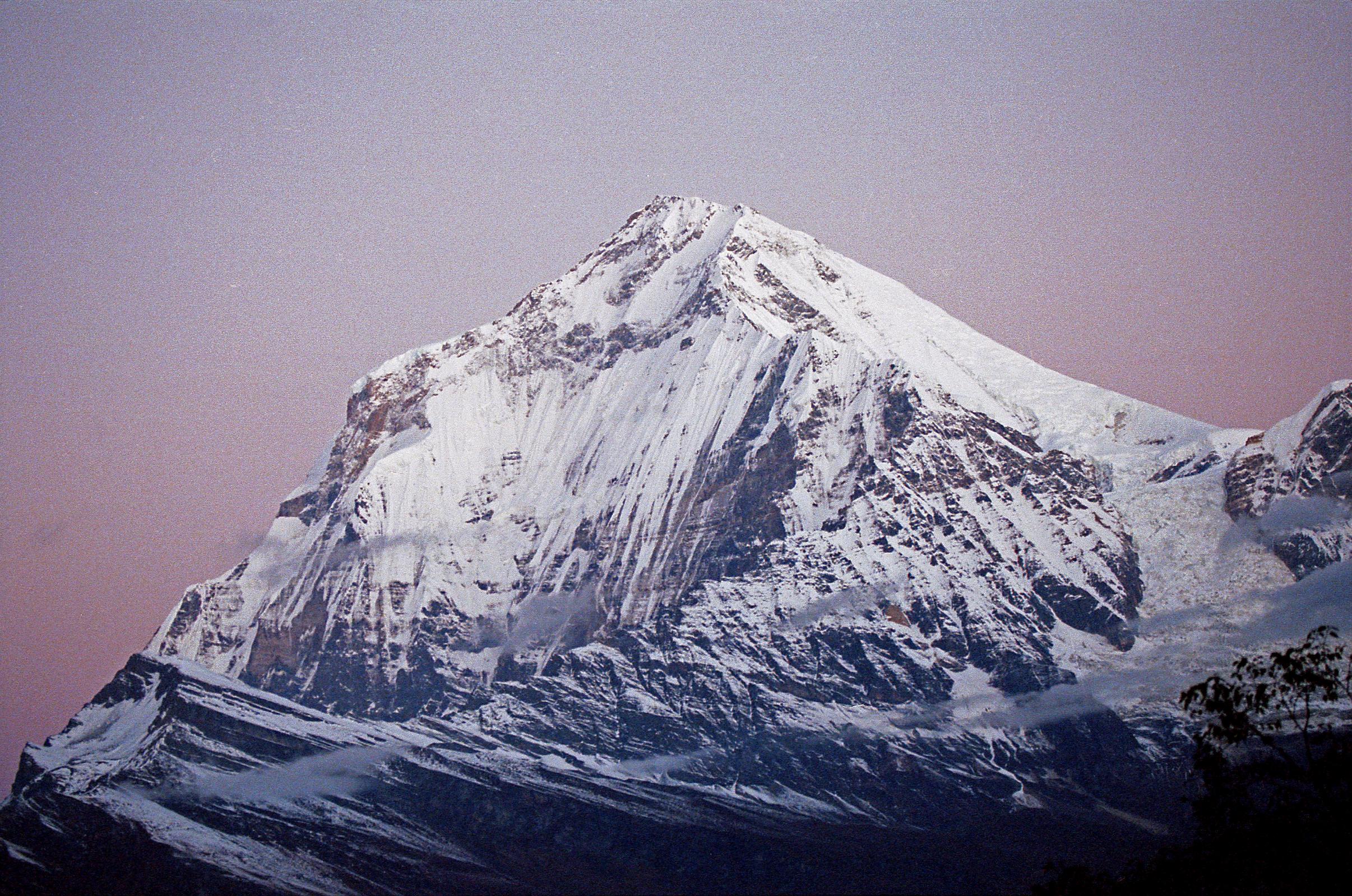 201 Dhaulagiri Just Before Sunrise Dhaulagiri close up in the rose coloured light just before sunrise from Shepherd�s Kharka (3760m) on the way to Annapurna North Base Camp.